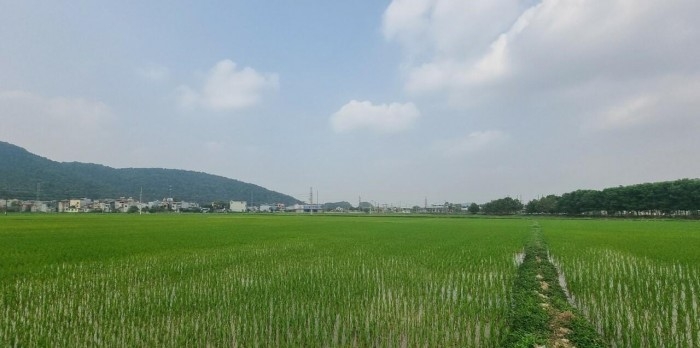 Khu&nbsp;đất dự kiến x&acirc;y bến xe trung t&acirc;m, th&agrave;nh phố Thanh H&oacute;a