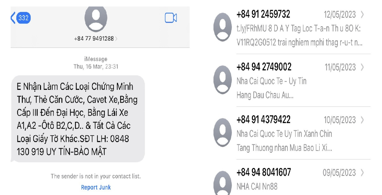 Liên tục có các cuộc gọi và tin nhắn rác làm phiền người dân. (Ảnh minh họa).