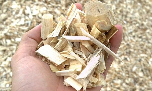 Cử tri than phiền thuế thu nhập cá nhân chưa phù hợp đối với với hộ, cá nhân sản xuất dăm tre, dăm gỗ