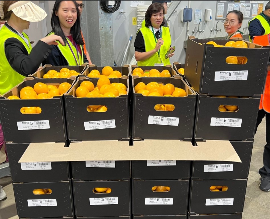 Đo&agrave;n doanh nghiệp Việt Nam đ&atilde; c&oacute; chuyến thực địa tới trang trại Ontario Group - nh&agrave; cung cấp n&ocirc;ng sản c&oacute; tiếng tại Queesland.