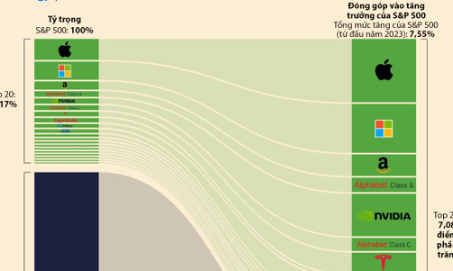20 cổ phiếu đóng góp nhiều nhất vào tăng trưởng của S&P 500 từ đầu năm 2023