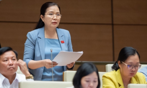 Tăng giá điện sinh hoạt do EVN lỗ kéo dài là chưa phù hợp