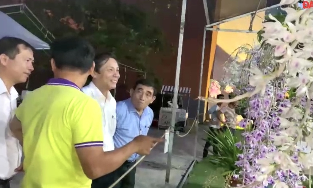 Những tác phẩm hoa lan được đông đảo du khách chiêm ngưỡng