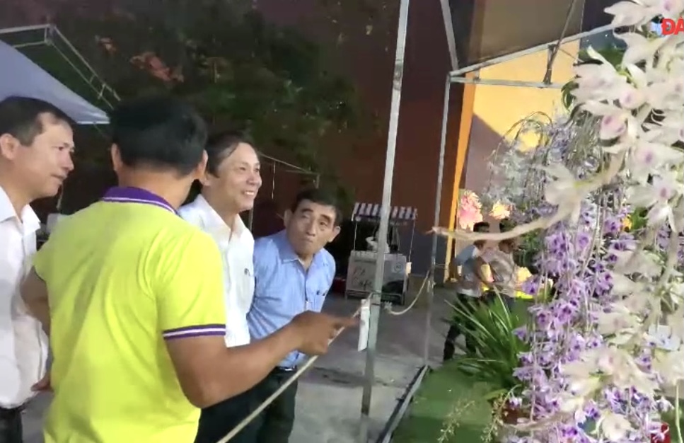 Những tác phẩm hoa lan được đông đảo du khách chiêm ngưỡng