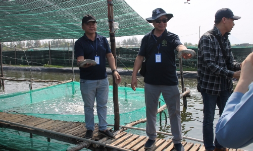 Thúc đẩy cơ chế liên kết tạo chuỗi giá trị ngành hải sâm