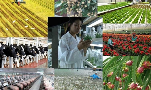 Nông nghiệp tháng 5/2023: Chăn nuôi  hồi phục, thủy sản lấy lại đà tăng trưởng