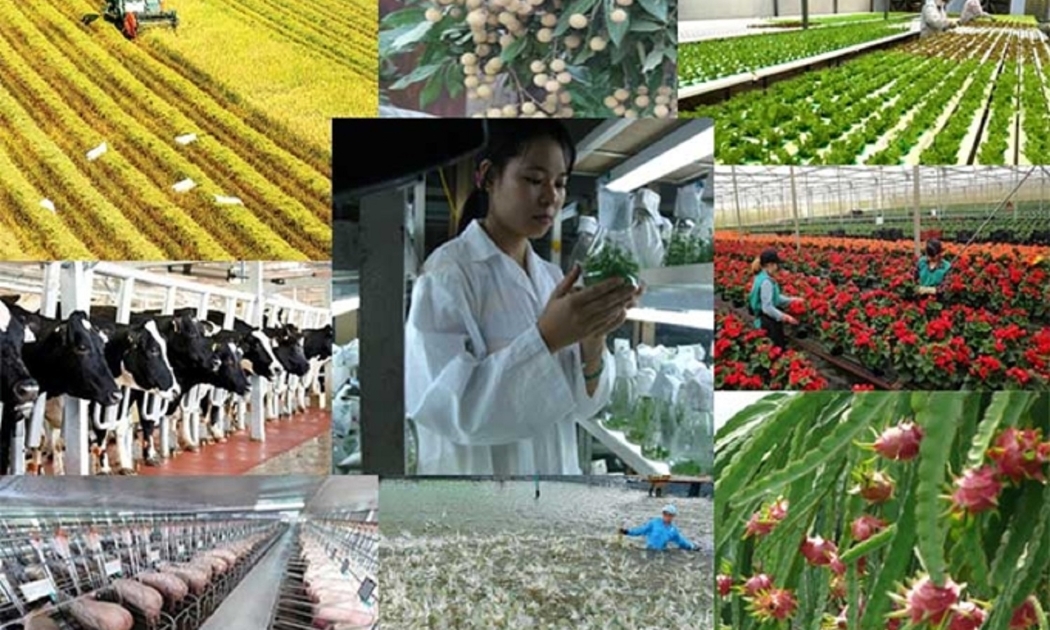 Sản lượng nông lâm thủy sản tăng.