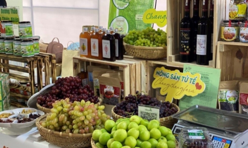 TP.HCM nâng quy mô Quỹ hỗ trợ thanh niên khởi nghiệp lên 300 tỷ