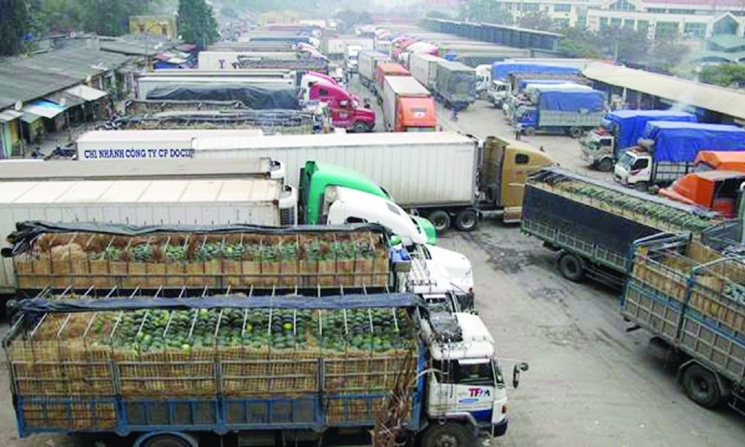 Xuất khẩu nông sản thường xuyên xảy ra ùn tắc tại cửa khẩu.