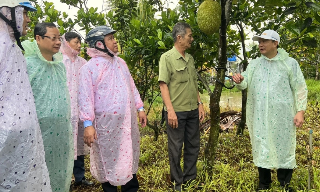 Tạo sinh kế cho người nghèo giúp họ vươn lên thoát nghèo. Ảnh - MOLISA.