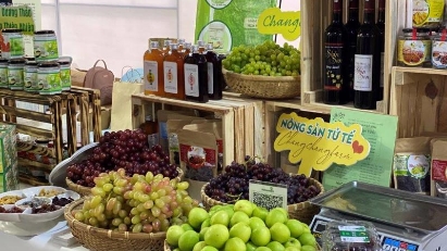 HCMC increases fund for young startups to $12.6mln