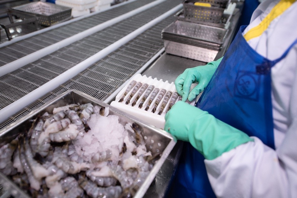 Vỏ v&agrave; đầu t&ocirc;m được d&ugrave;ng để sản xuất chitin, chitosan l&agrave; đầu v&agrave;o quan trọng của cả n&ocirc;ng nghiệp, thực phẩm v&agrave; y tế.