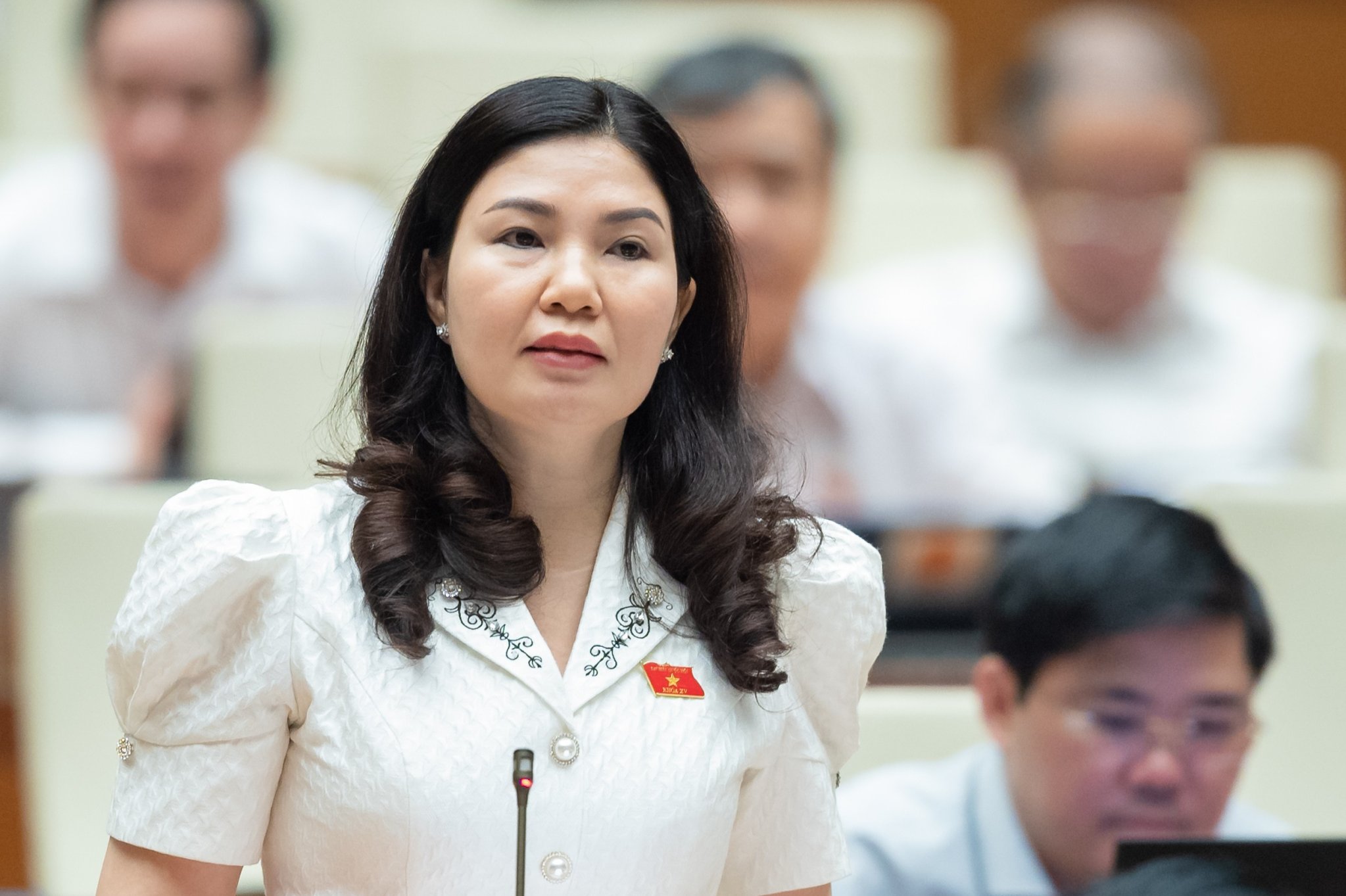 Đại biểu Trần Thị Vân - Ảnh: Quochoi.vn