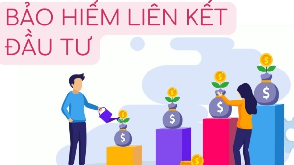 Đại biểu Quốc hội kiến nghị Bộ Tài chính thanh tra tập trung loại hình bảo hiểm liên kết đầu tư