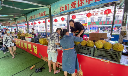 Trung Quốc nhập gần 1 triệu tấn sầu riêng mỗi năm, Việt Nam có thể trở thành nhà cung cấp lớn