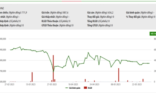 Sau kiểm toán, VNZ lỗ thêm 219 tỷ, lên 1.534 tỷ đồng cho năm 2022