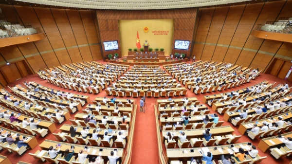 Bạo lực học đường và trách nhiệm của người đứng đầu nhà trường