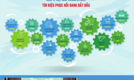 VnEconomy