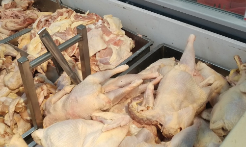 Ngăn gà thải nhập lậu, cơ quan hải quan buộc tái xuất hoặc tiêu huỷ lô hàng không đủ điều kiện