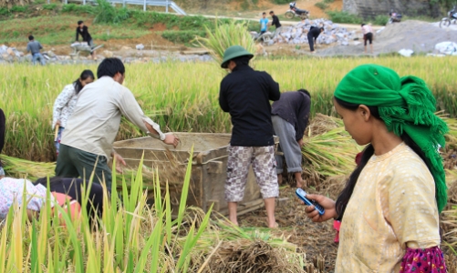 Hà Giang: Dồn lực thực hiện 3 chương trình mục tiêu quốc gia, tạo sinh kế để giảm nghèo 