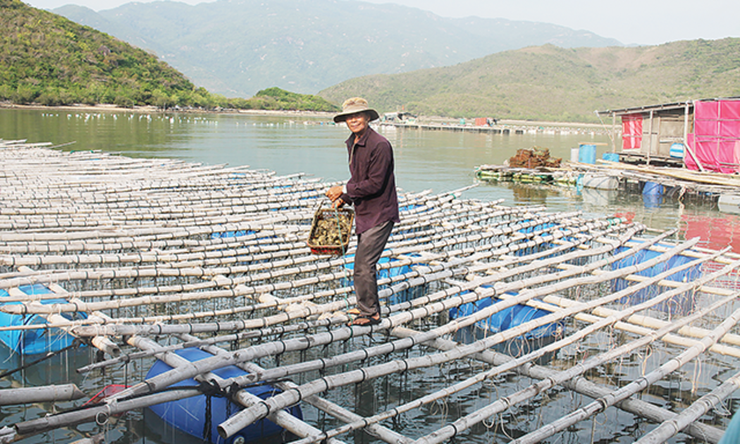 Ông Lê Văn Năm trên bè nuôi trai lấy ngọc