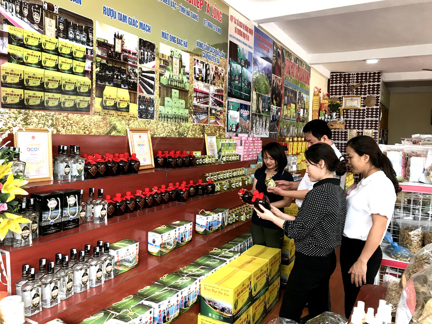 Nhiều HTX dịch vụ phát triển khá mạnh