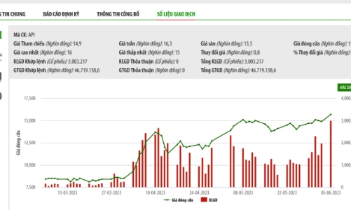 Theo quyết định xử phạt của SSC, Chứng khoán APEC bị buộc phải bán 8,1 triệu cổ phiếu API