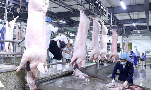 Thói quen tiêu dùng dễ dãi tạo điều kiện cho các cơ sở giết mổ nhỏ lẻ tồn tại