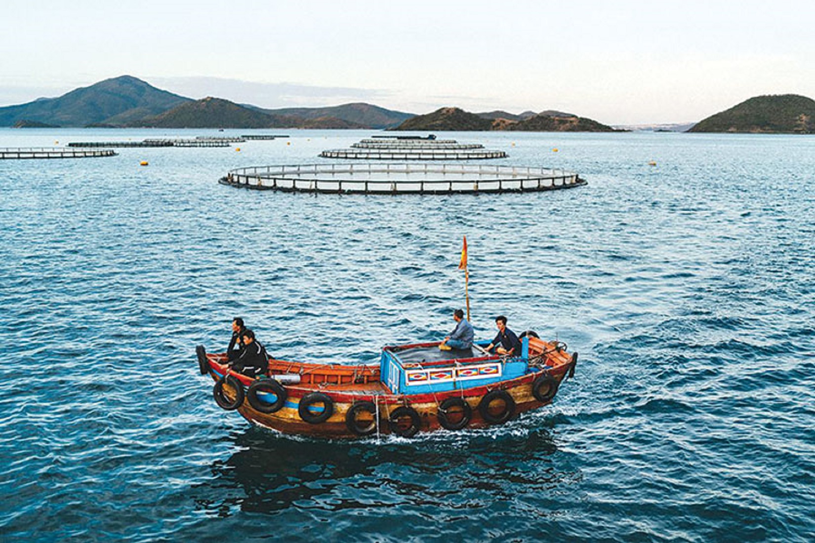 Khu nuôi cá chẽm của Công ty Australis Việt Nam trên Vịnh Vân Phong, tỉnh Khánh Hòa.