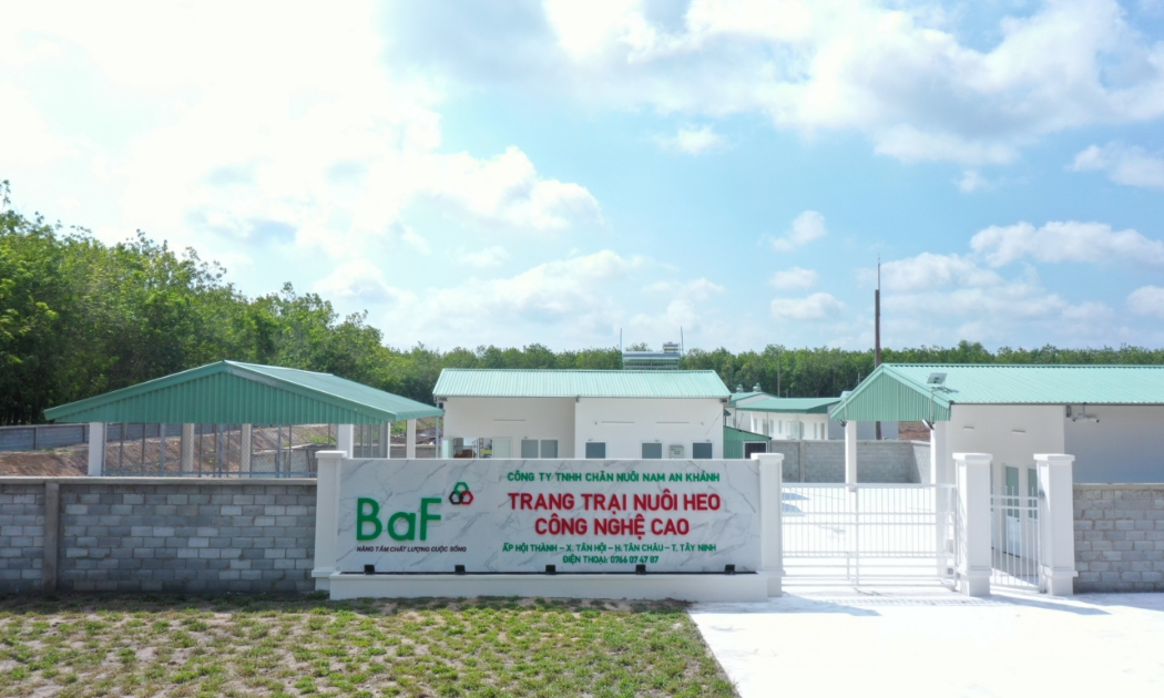 Trang trại Chăn nuôi heo nái công nghệ cao Nam An Khánh tại Tây Ninh.