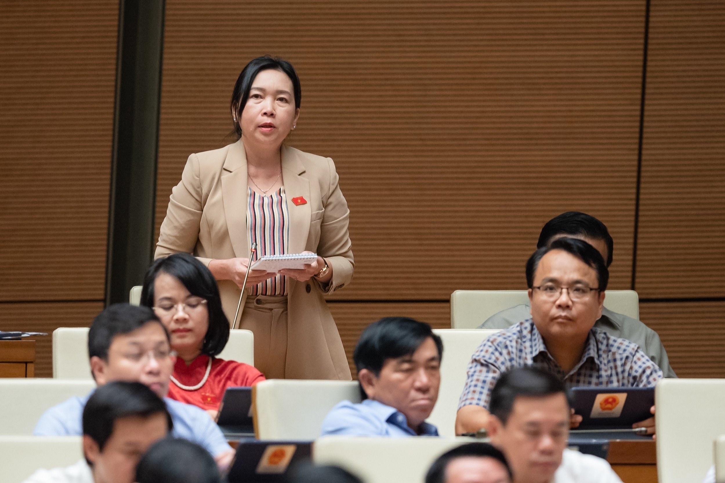 Đại biểu L&yacute; Tiết Hạnh, Ph&oacute; đo&agrave;n Đại biểu Quốc hội tỉnh B&igrave;nh Định. Ảnh - Quochoi.vn