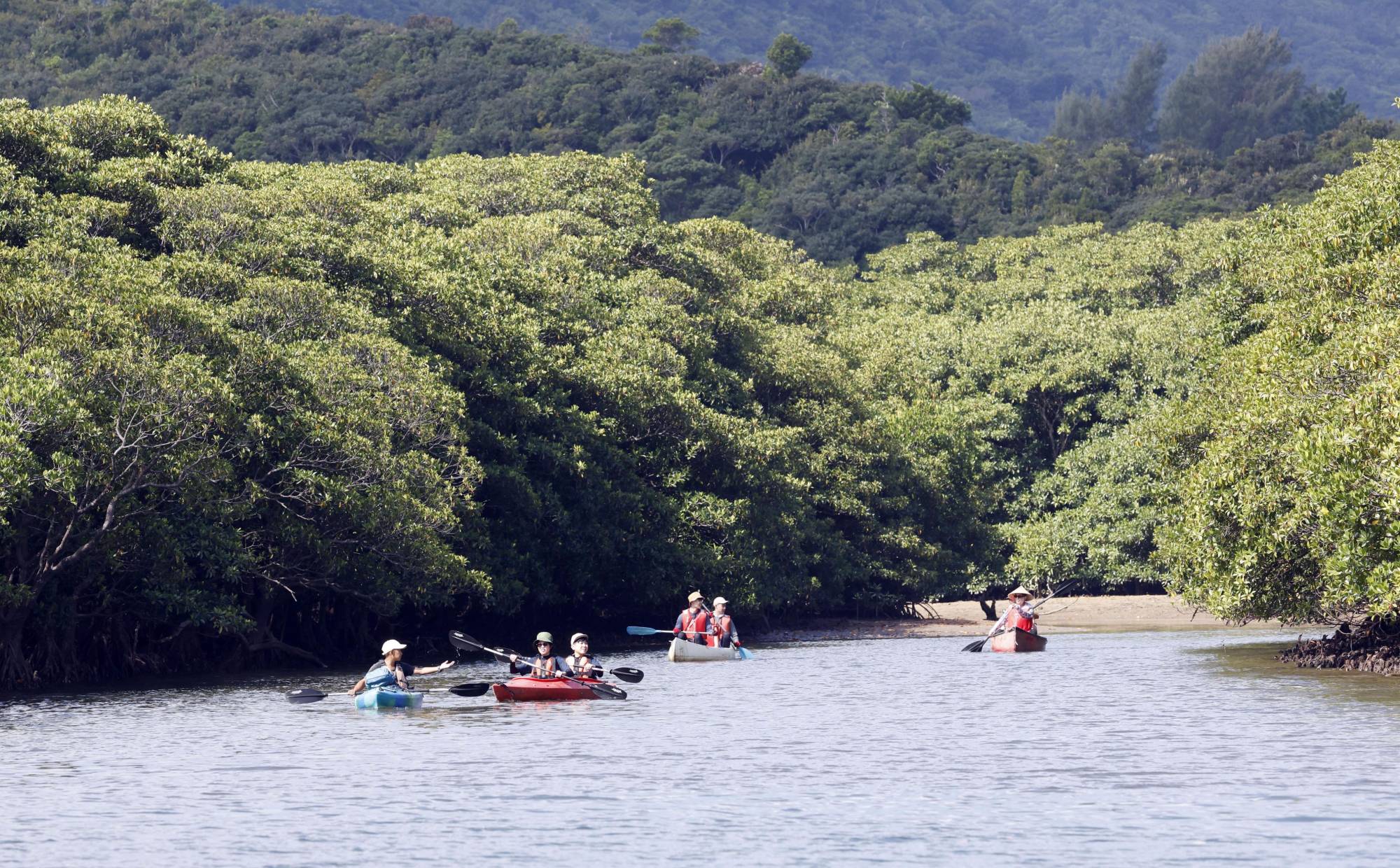 Trước khi đại dịch bùng phát, hàng năm có khoảng 300.000 khách du lịch đến thăm Iriomote (Okinawa), nơi dân số chỉ đạt 2.400 người. 