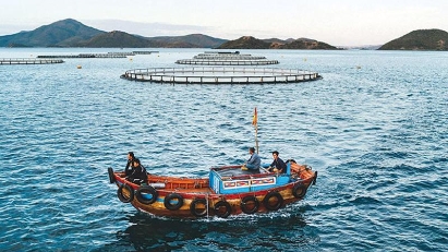 Fisheries sector targets 850,000 tons of marine aquaculture