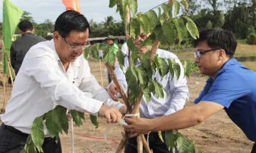 Sản xuất nông nghiệp an toàn, nông thôn đẹp hơn từ Chương trình “Môi trường sạch – cuộc sống xanh”