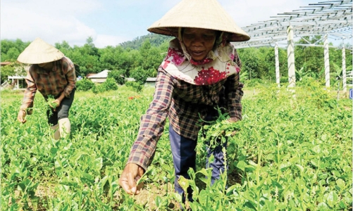 Thừa Thiên Huế đẩy nhanh tiến độ giải ngân vốn đầu tư các chương trình mục tiêu quốc gia