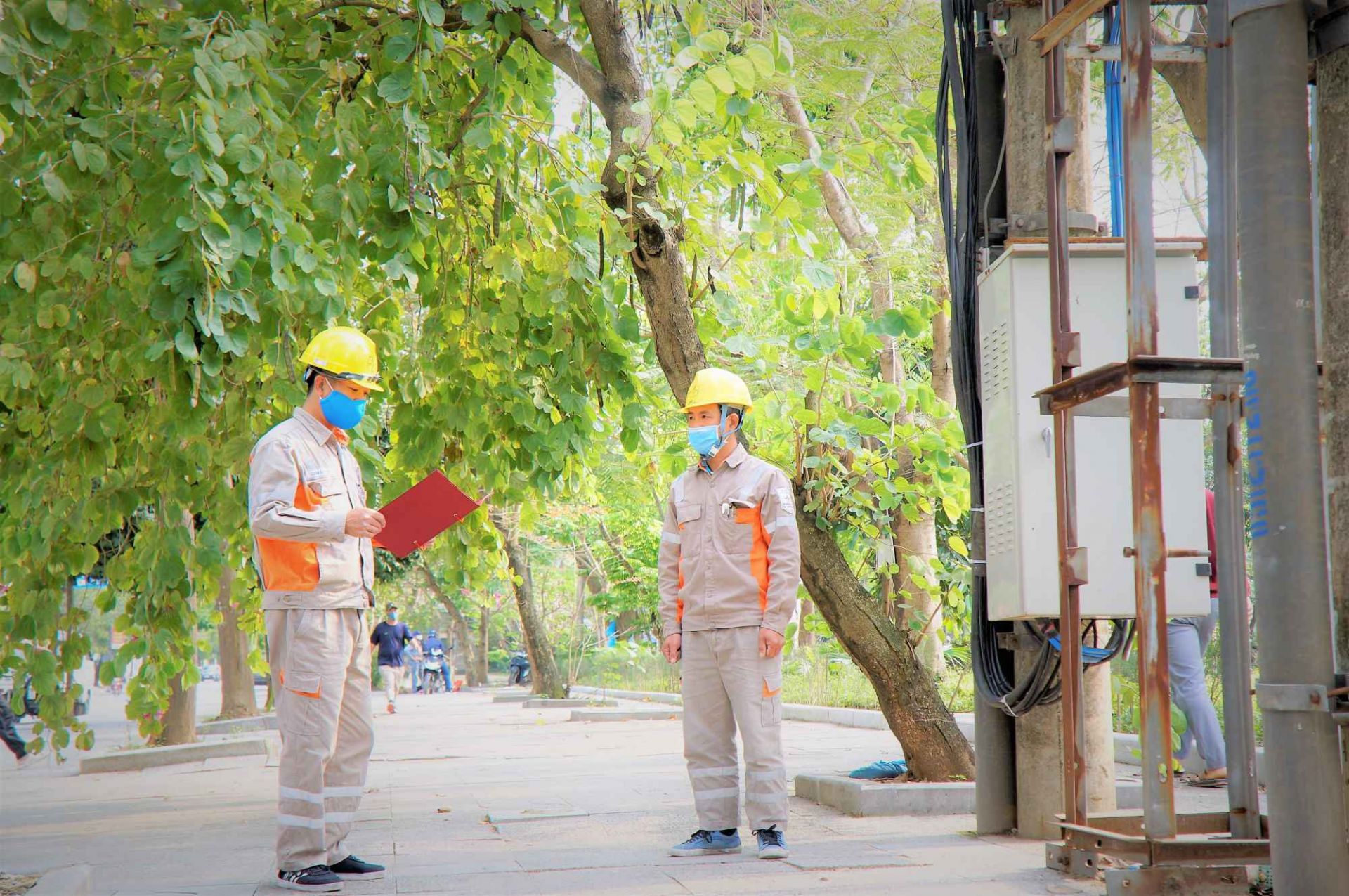 Ảnh minh họa