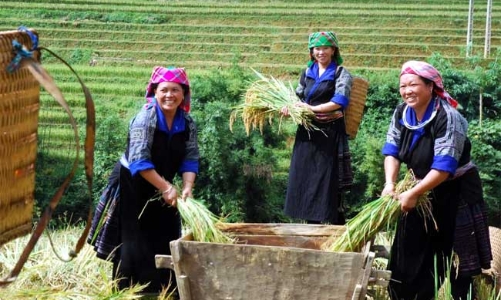 Phổ biến kiến thức cho 100 cán bộ Hội Nông dân về Chương trình mục tiêu quốc gia giảm nghèo 