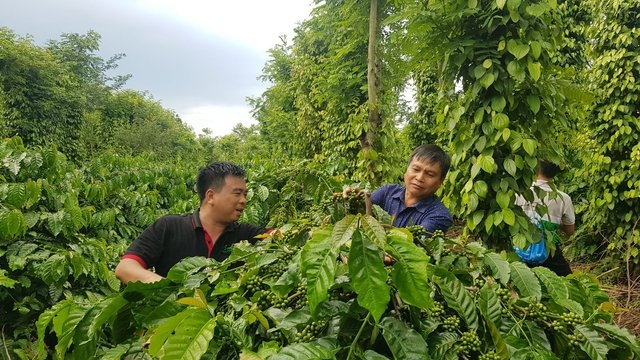 Localities see benefits of green growth