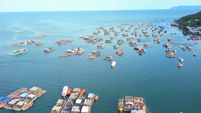 Kien Giang posts positive 5M growth