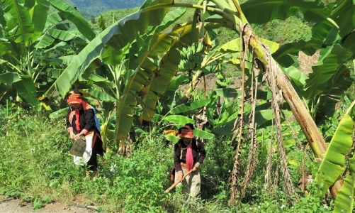 Cần một bộ tiêu chí khoa học hơn trong công tác giảm nghèo bền vững