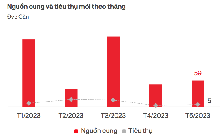 Trong th&aacute;ng 5/2023, cả TP.HCM v&agrave; c&aacute;c tỉnh l&acirc;n cận chỉ b&aacute;n được 5 căn nh&agrave; liền thổ - Nguồn: DKRA.