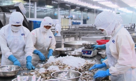 Xuất khẩu thủy sản sang EU khả quan nhưng giảm mạnh tại thị trường Trung Quốc