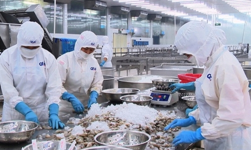 Xuất khẩu thủy sản sang EU khả quan nhưng giảm mạnh tại thị trường Trung Quốc