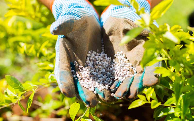 Nghị định 26 cũng giảm thuế suất thuế nhập khẩu ưu đãi với mặt hàng xăng sinh học, nhằm hạ giá thành mặt hàng xăng trong nước.