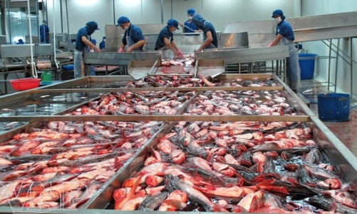 Kim ngạch xuất khẩu thủy sản tăng 14 lần nhờ tích cực mở rộng thị trường