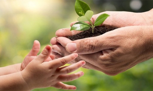 Chuỗi cung ứng bền vững thúc đẩy phát triển kinh tế xanh