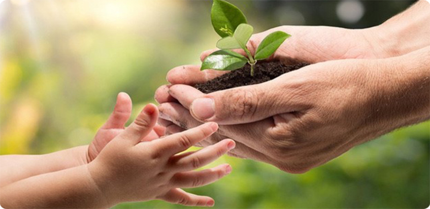 Củng cố chuỗi cung ứng bền vững sẽ góp phần thúc đẩy chuyển đổi nguồn năng lượng xanh - Ảnh minh họa