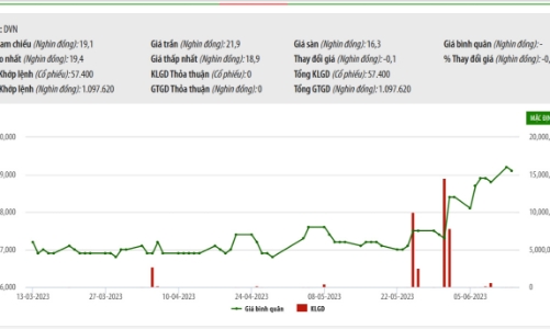 Được chuyển giao sang SCIC, hai quỹ đầu tư thuộc PVI bán cổ phiếu, không còn là cổ đông lớn của DVN