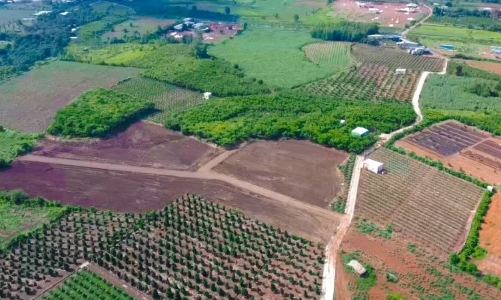 Long An được chuyển 18,11 ha đất trồng lúa sang đất phi nông nghiệp để thực hiện dự án