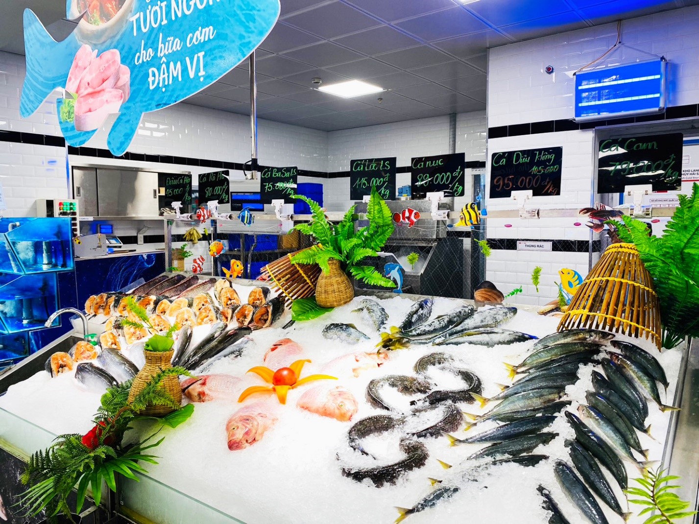Giảm 11.500 đồng khi mua cá Saba Nauy phi lê 250g tại Lotte Mart Online.